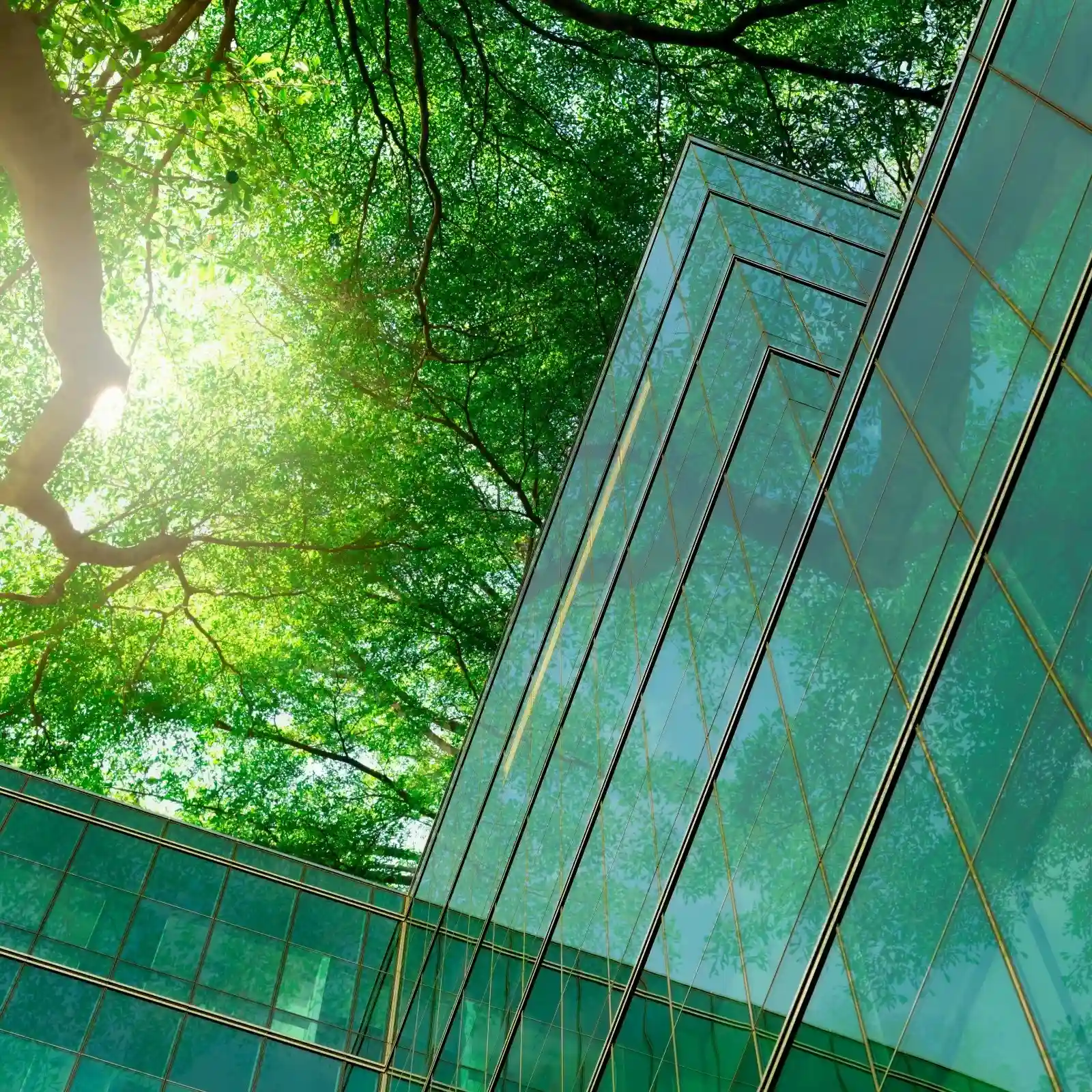 Sustainability